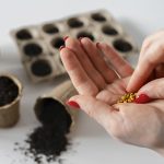 Качество Семяныча: результат, подтверждённый тысячами клиентов